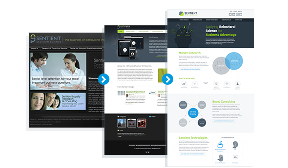 Sentient Decision Science Website Evolution